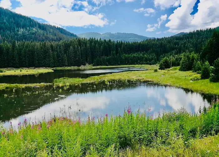 Deer 521 At Oak & Relax *