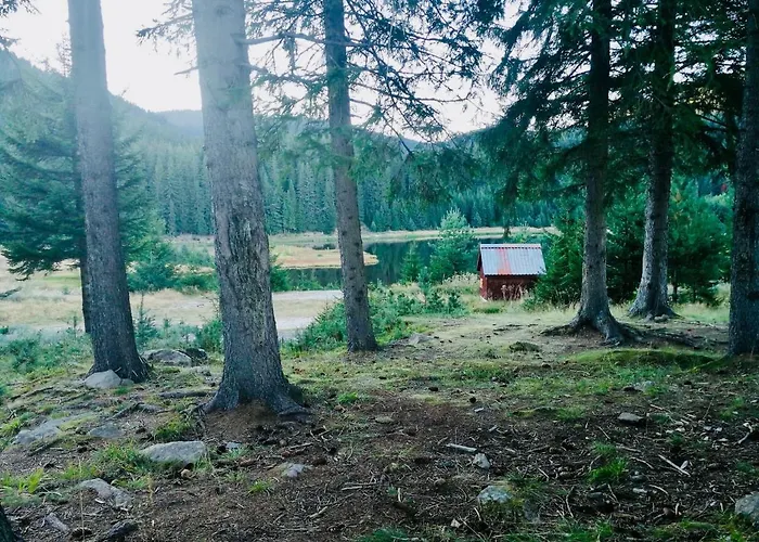 Deer 521 At Oak & Relax *